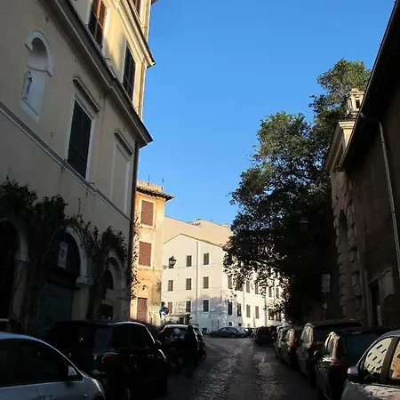 Guest Colosseo *